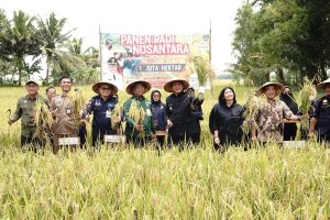 Petani OKU Timur Panen Raya Berkat Polri!